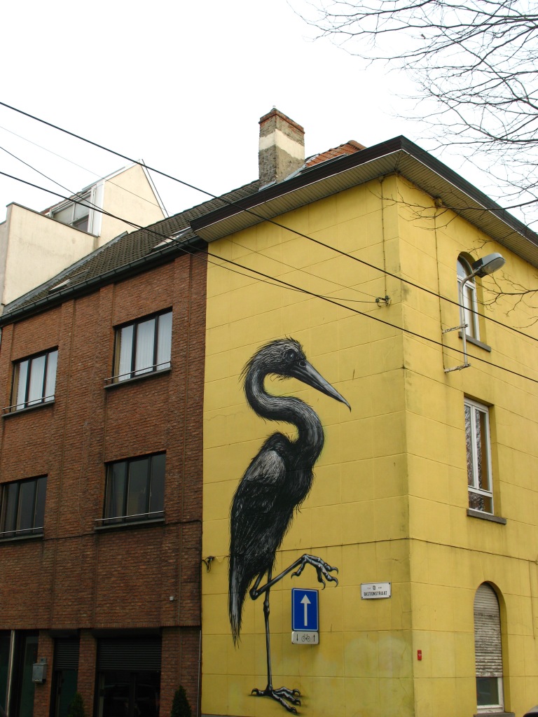 Roa heron we pass by each day after work. 