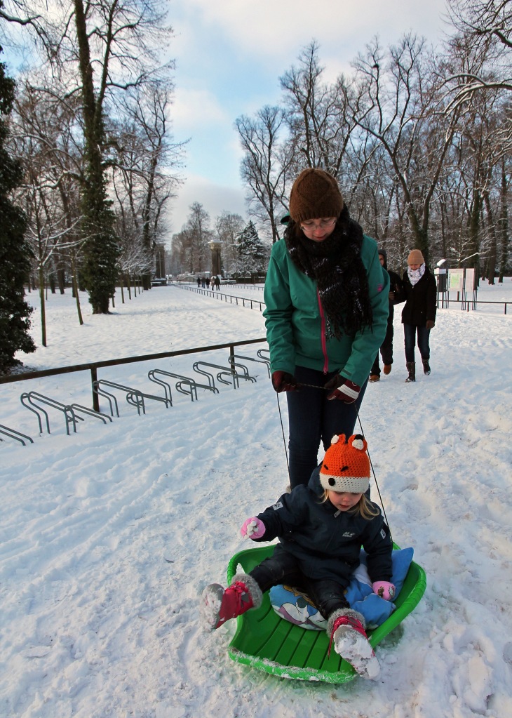 Sleighing into the park...